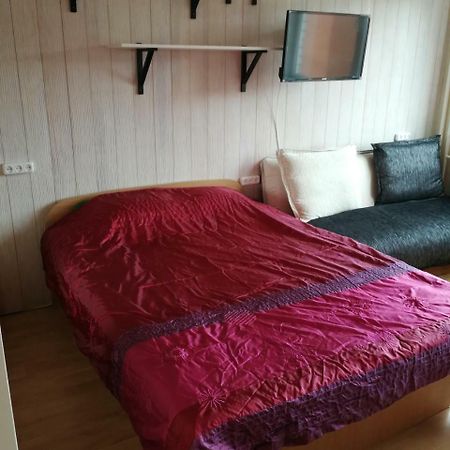 Flat, 1 Room, Study Паневежис Экстерьер фото